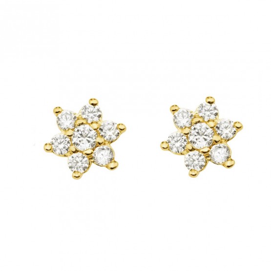 Gold earrings with 14 zirconia (75A0011Z)