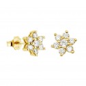 Gold earrings with 14 zirconia (75A0011Z)